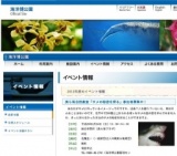 美ら海自然教室「サメの秘密を探る」参加者募集中！