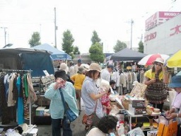 3月2日(土) ★出店無料★チャリティフリーマーケット in 平塚 神奈川 フリマ