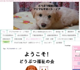 犬猫譲渡会