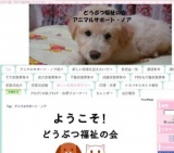 犬猫譲渡会