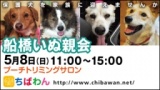保護犬を家族に迎える譲渡会「ちばわん　船橋いぬ親会」