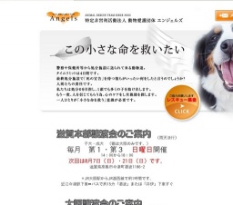 子犬・猫定期譲渡会