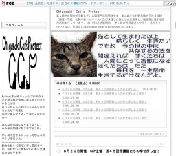 保護猫たちの幸せ探し会