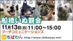 ちばわん『船橋いぬ親会】開催のご案内