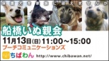 ちばわん『船橋いぬ親会】開催のご案内