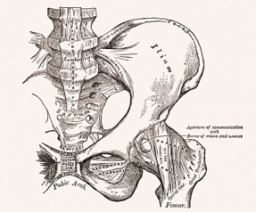 ◆美骨盤ヨガ◆～身体の基盤をメンテナンスして、体内の巡りを良くし心身に潤いを～