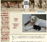 犬猫譲渡会