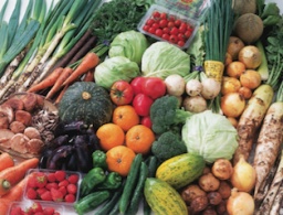 東都生協の新鮮野菜産直即売会 | ハウスクエア横浜