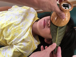 ビワの葉健康法 無料勉強会