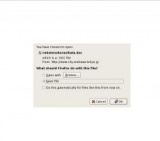 『猫との暮らし方教室』の開催 荒川区公式ホームページ