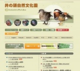 ヤマネコ舎まえケヤキしたのちいさなおうち
