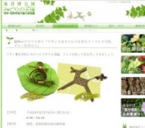 植物のクラフト作り「アダンでカタツムリを作ろう！フトイで馬グヮーを作ろう」