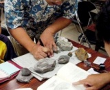 標本の名前を調べよう－標本同定会－