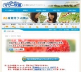 キウイフルーツ狩り