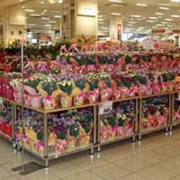 母の日フラワーギフト