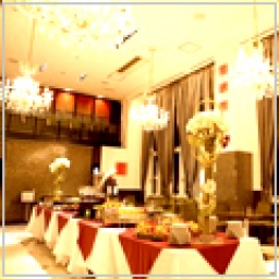 【現88名】2/16(土)銀座 ダーマ神殿☆250名異業種交流パーティー