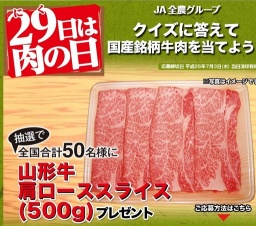 JA全農・毎月29日は肉の日