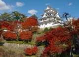 郡上八幡城下町もみじまつり2013