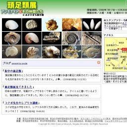 頭足類展　アンモナイトとその仲間たち