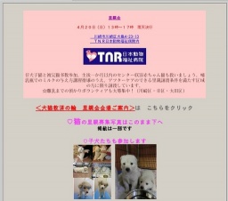 犬と猫の里親会