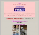 犬と猫の里親会