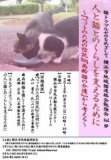 横浜市地域猫連絡会勉強会Ｖｏｌ.９ 磯子区猫の飼育ガイドライン推進協議会/ウェブリブログ