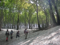 なべくら高原・森の家　残雪の鍋倉山山頂トレッキング