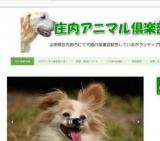 犬猫の里親さがし