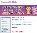 BONにゃん譲渡会