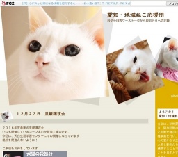 猫の里親譲渡会