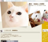 猫の里親譲渡会