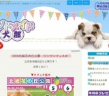 ワンワンフェスタin北総花の丘公園