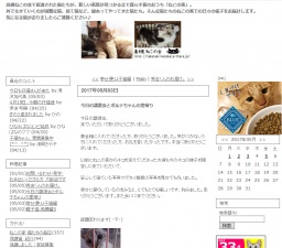 【ねこの譲渡会】