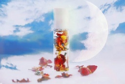 月の魔法とハーバルオイル作り