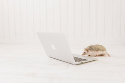 精神障害・発達障がいの方の特性と働き方