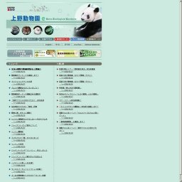 野鳥ペーパークラフト展開催、 ワークショップの参加者募集