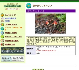 宮崎の海のいきもの展