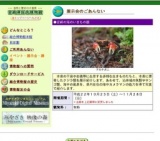 宮崎の海のいきもの展