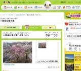 小諸城址懐古園「桜まつり」