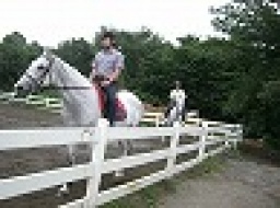 祭日 アウトドア/ 本格乗馬体験 社会人サークルFEAD