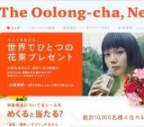 「キレイをあげる。世界でひとつの花束」プレゼントキャンペーン