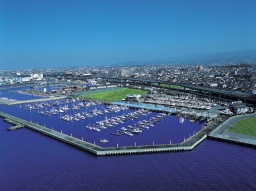 izumisano paseo 探検ＱＲラリー