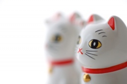 【婚活カフェ】 婚活大説明会 ～2013年の婚活を迷わないために！～（横浜）～ 