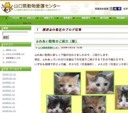 講習会＆譲渡会