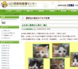 講習会＆譲渡会