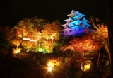 郡上八幡城　天空のもみじ庭園ライトアップ