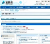 猫の正しい飼い方講習会