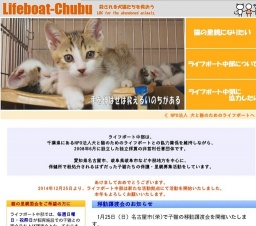 子猫との面会日