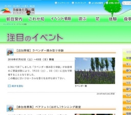 【追加開催】ラベンダー摘み取り体験