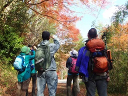 日本一遅い紅葉を楽しむ♪　紅葉トレッキング